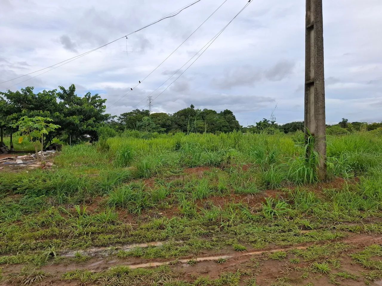 Terreno Cidade Jardim 03