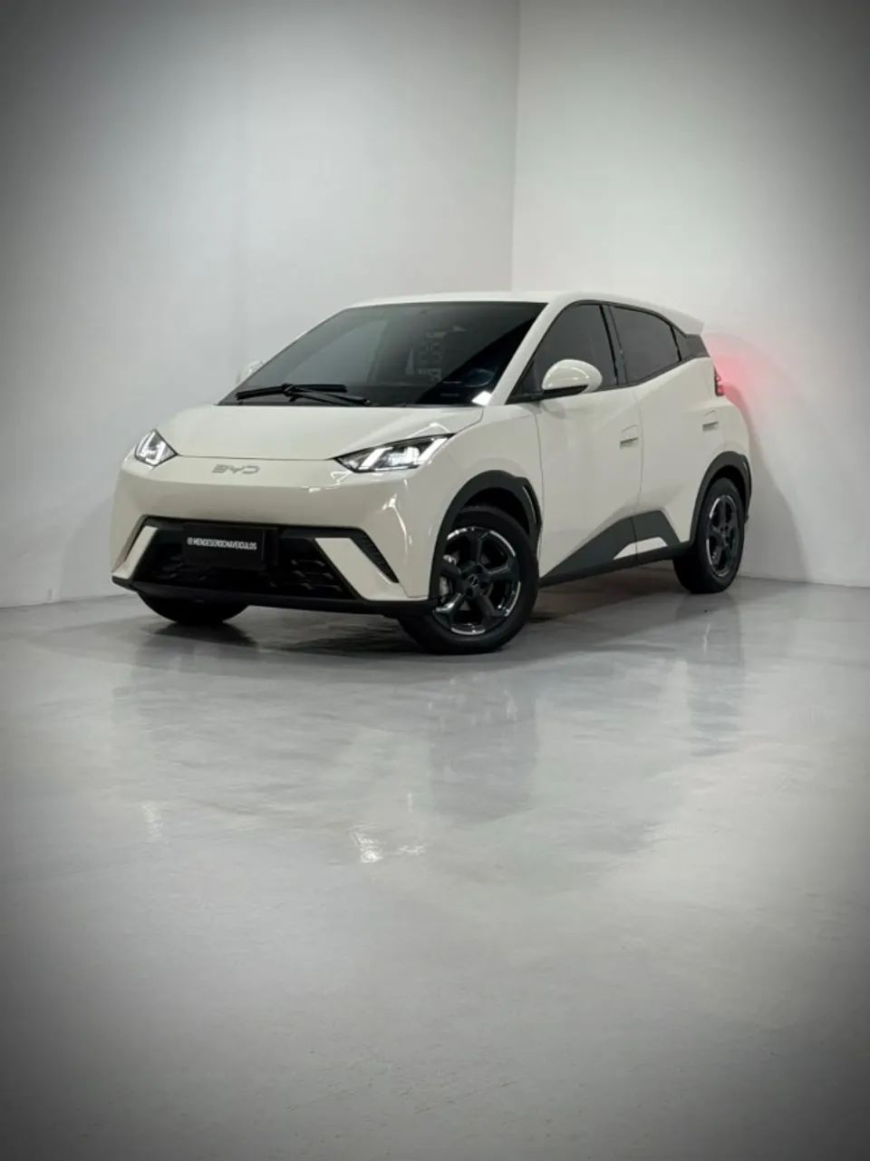 BYD Dolphin Mini (Elétrico) 2025