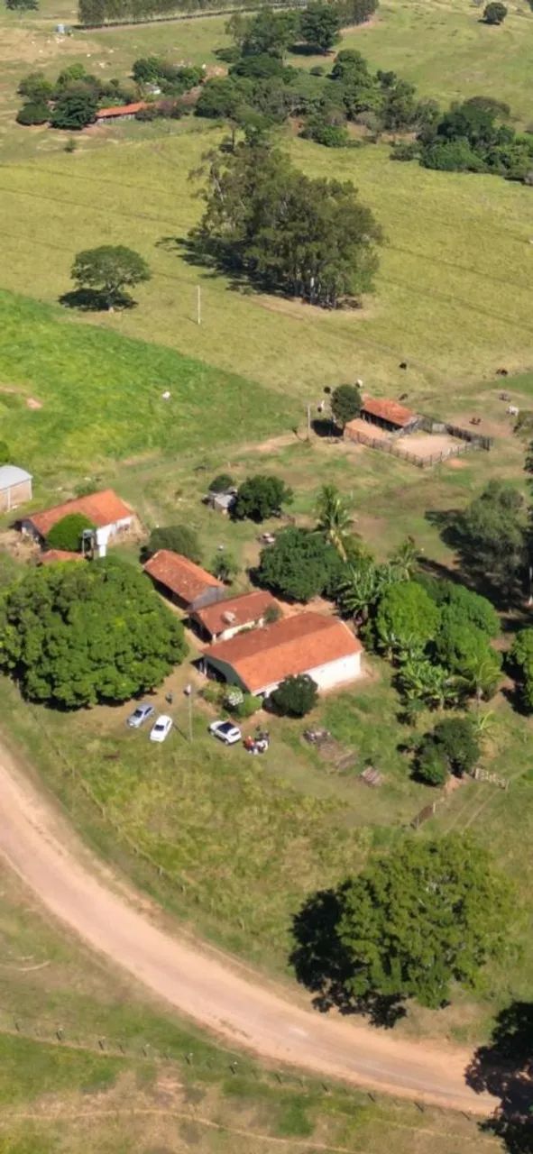 Sítio a venda - Foto 4