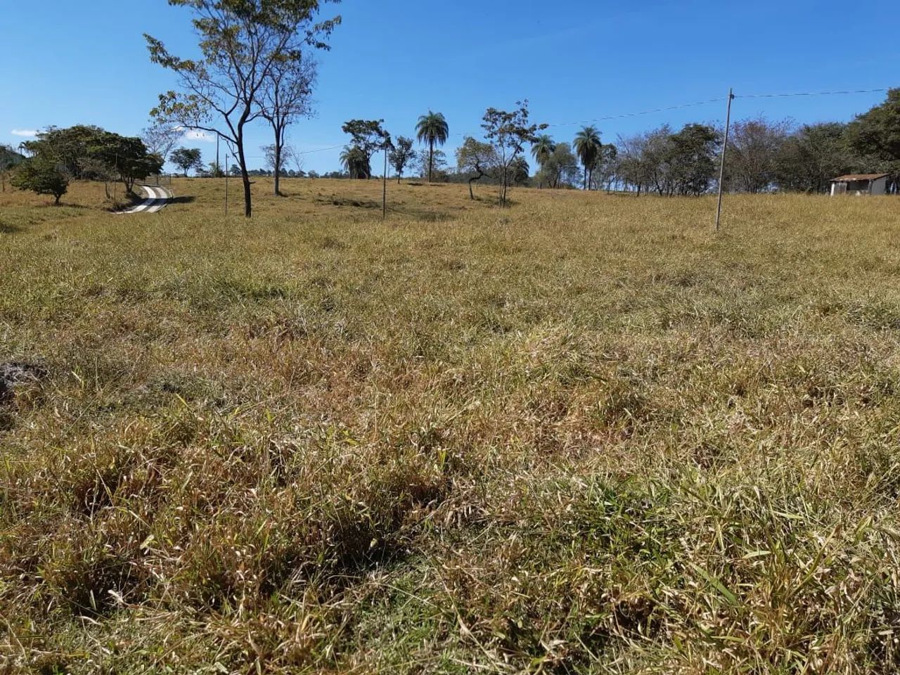 Fazenda perto de Belo Horizonte  - Foto 5