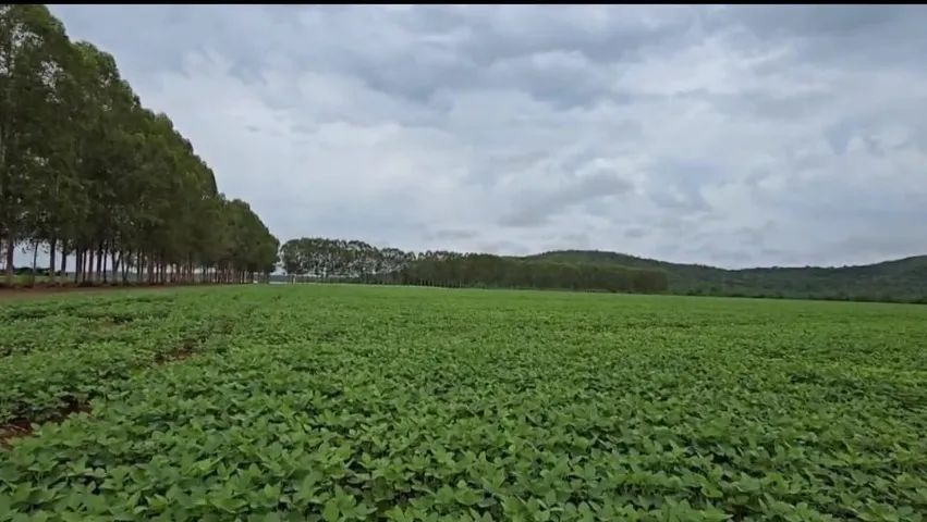 FAZENDA EM CHAPADA DA NATIVIDADE - TOCANTINS - Foto 4