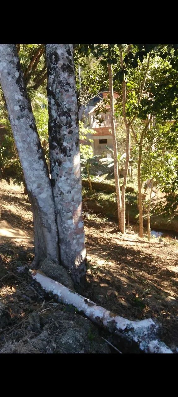 VENDO TERRENO   - Foto 4