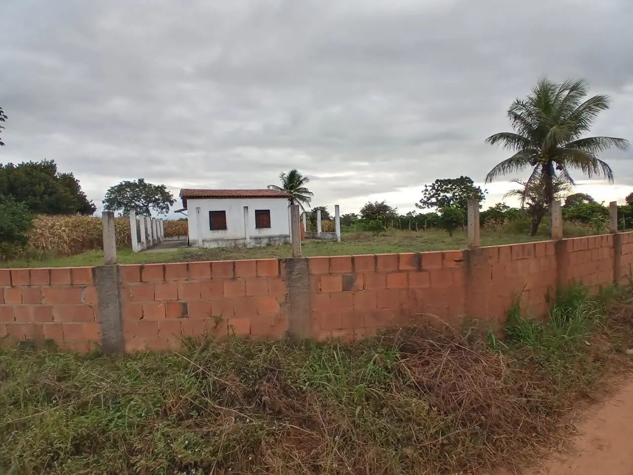 Chacara Deus é amor, povoado Pau Ferro . - Foto 5
