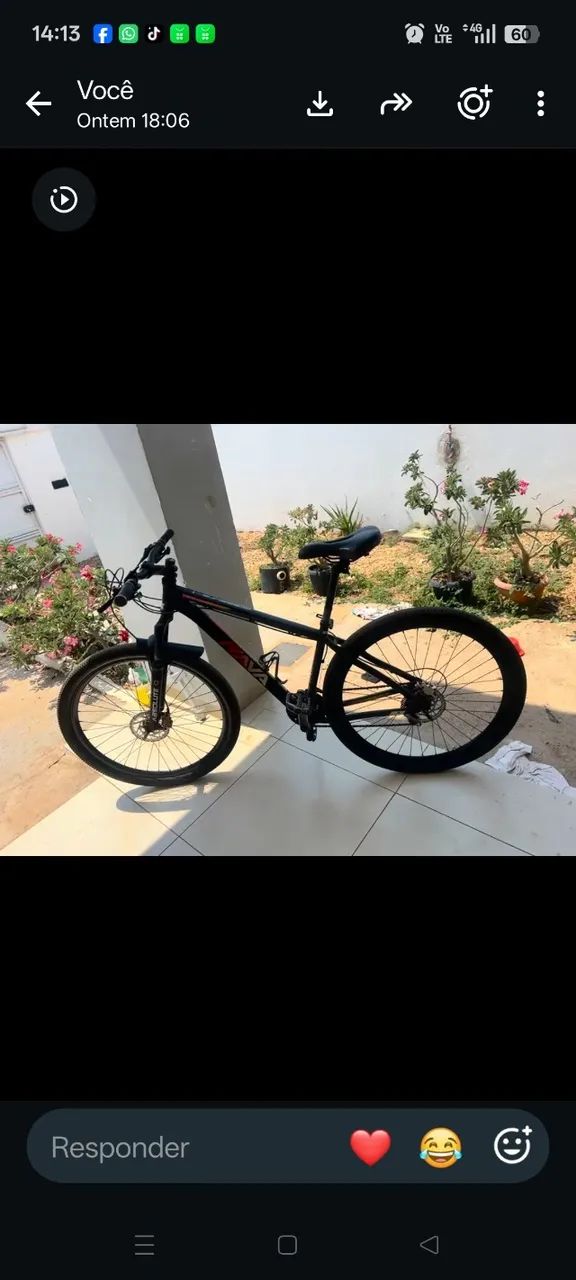 Bicicleta 