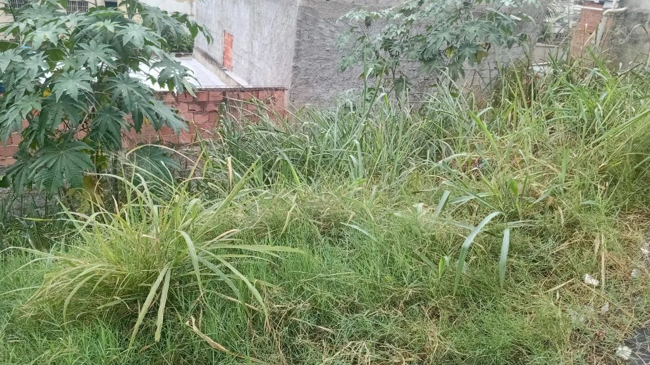 VENDO 2 TERRENOS EM ANCHIETA - Foto 3