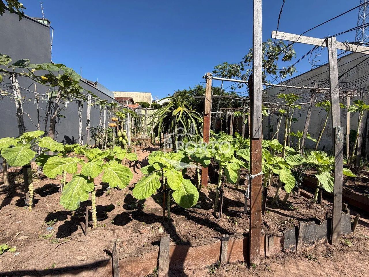 Terreno à venda, 250 m² - Charqueada - Charqueada/SP - Foto 3