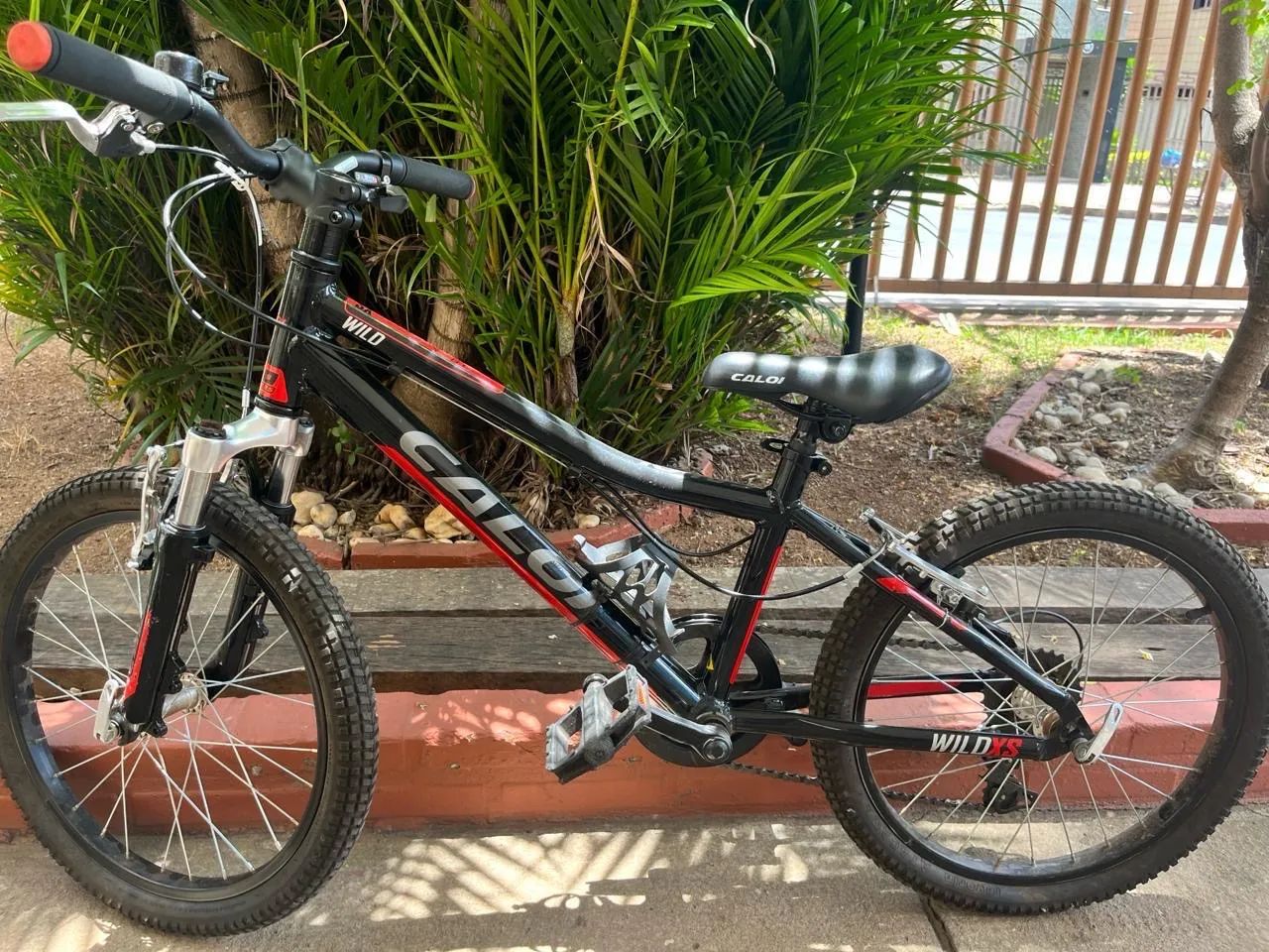 CALOI WILD ARO 20 - Foto 3