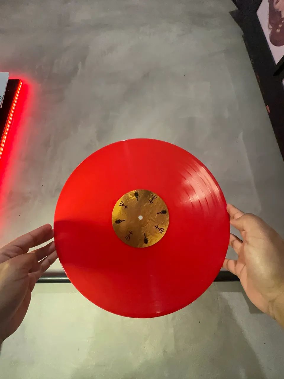 Vinil Elza Soares - Senhora da Terra + Revista Noize - Foto 5