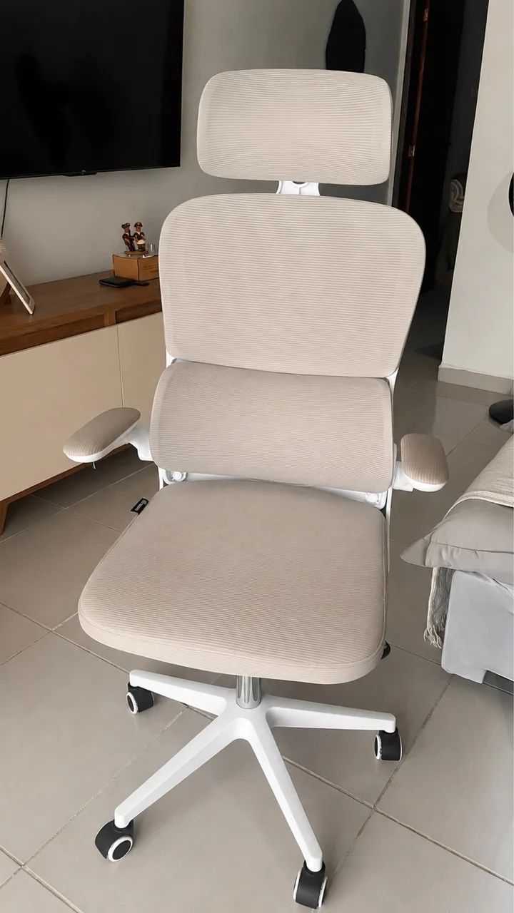 Cadeira Ergonômica de Escritório 