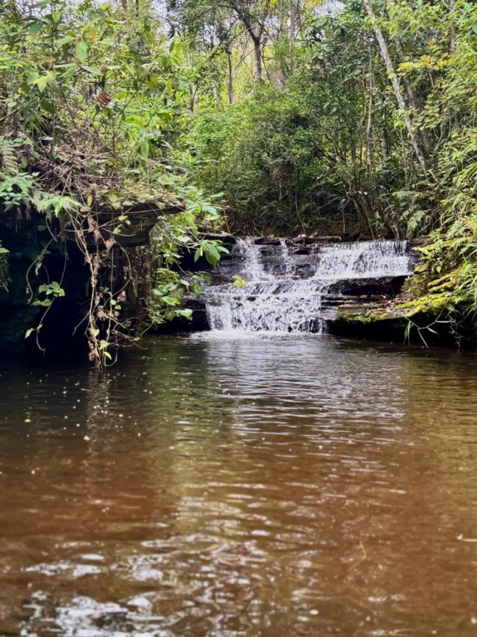 Fazenda 78 Há em Santos 