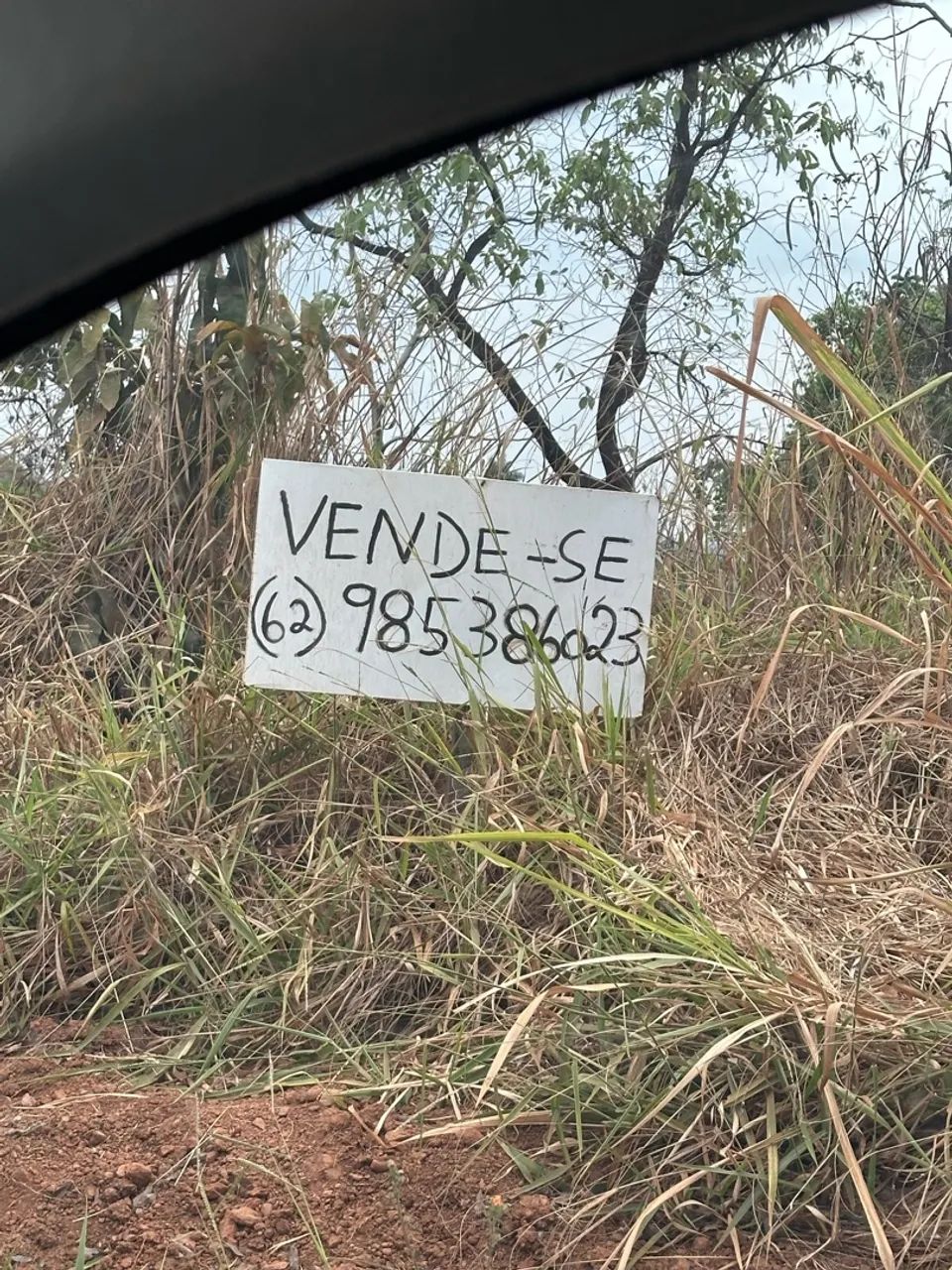 Lote