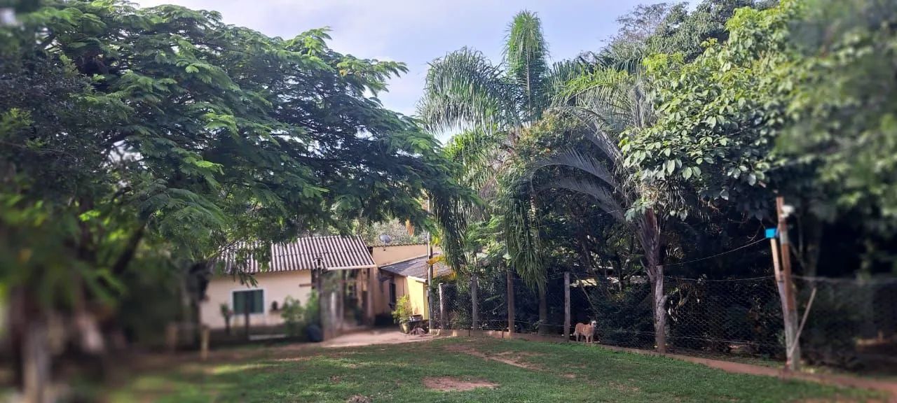 Foto - Brasília - Setor de Mansões do Lago Norte