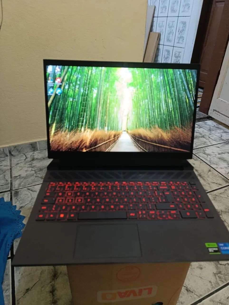 Notebook Dell G15 5530 13°