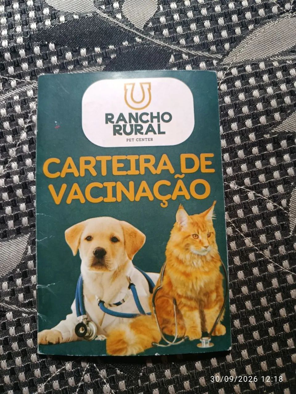 Shitzu doação  - Foto 4