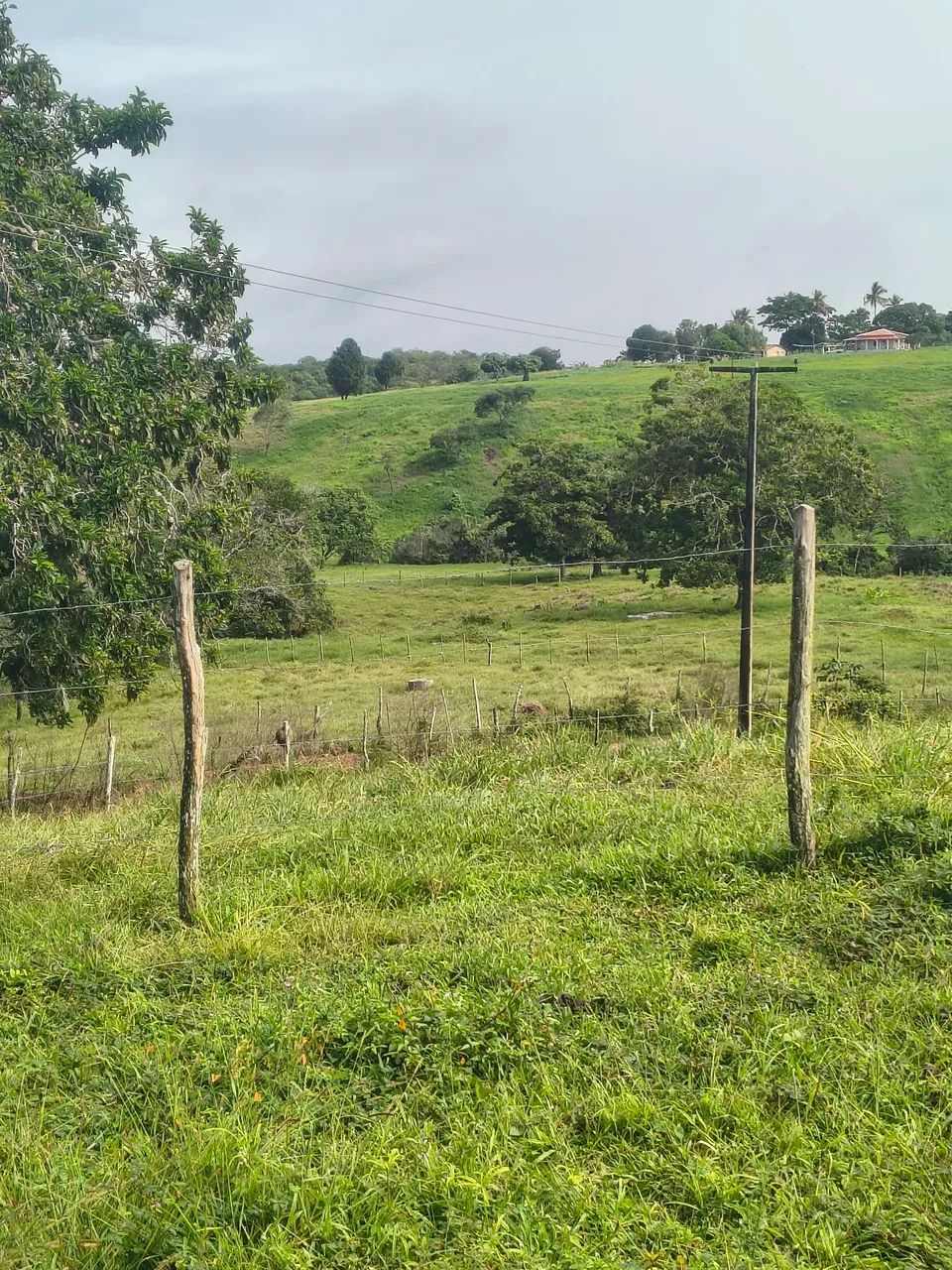 Fazenda com 150 tarefas - Foto 5