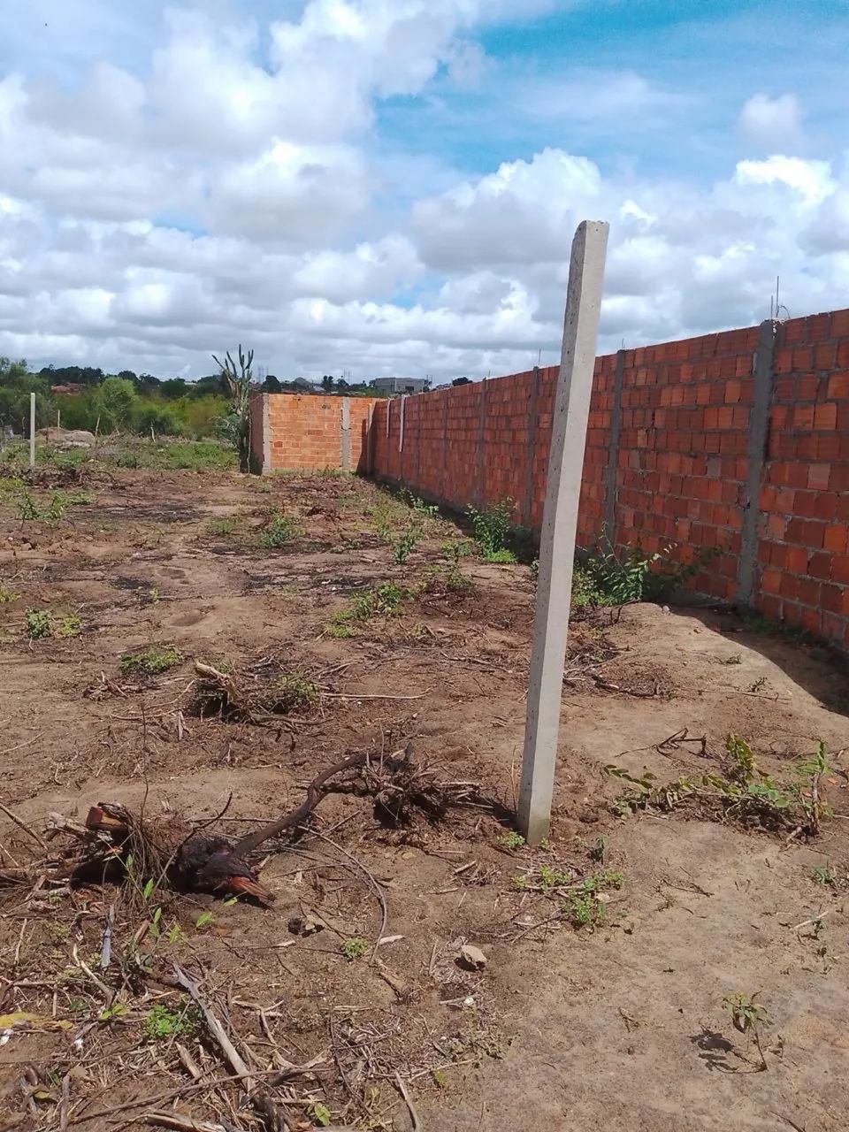Foto - Feira de Santana - Mangabeira