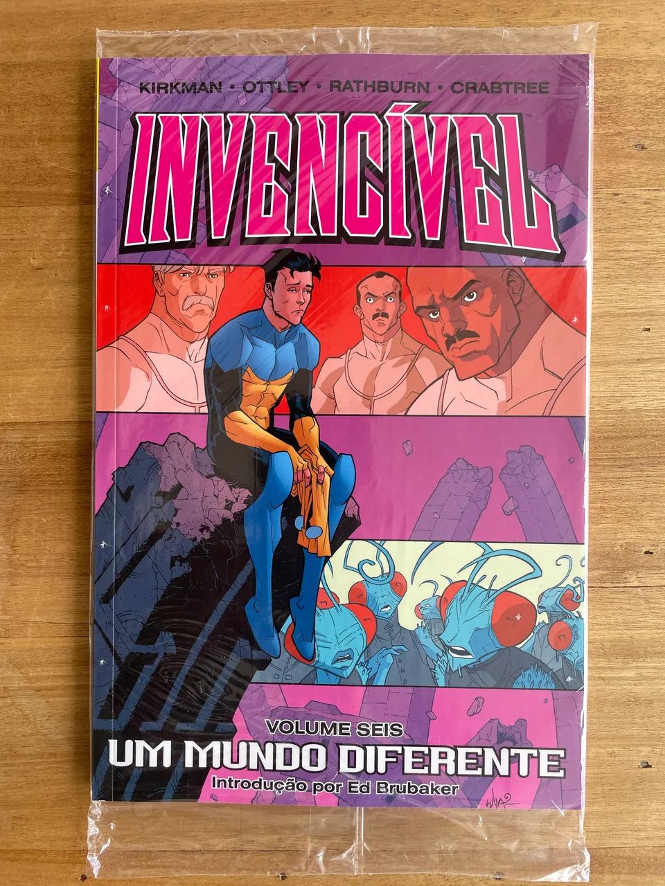 Invencível Panini vol 6 e 7 