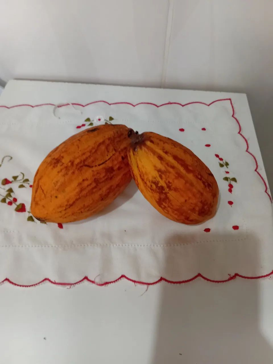 Fruto Cacau direto do pé  - Foto 3