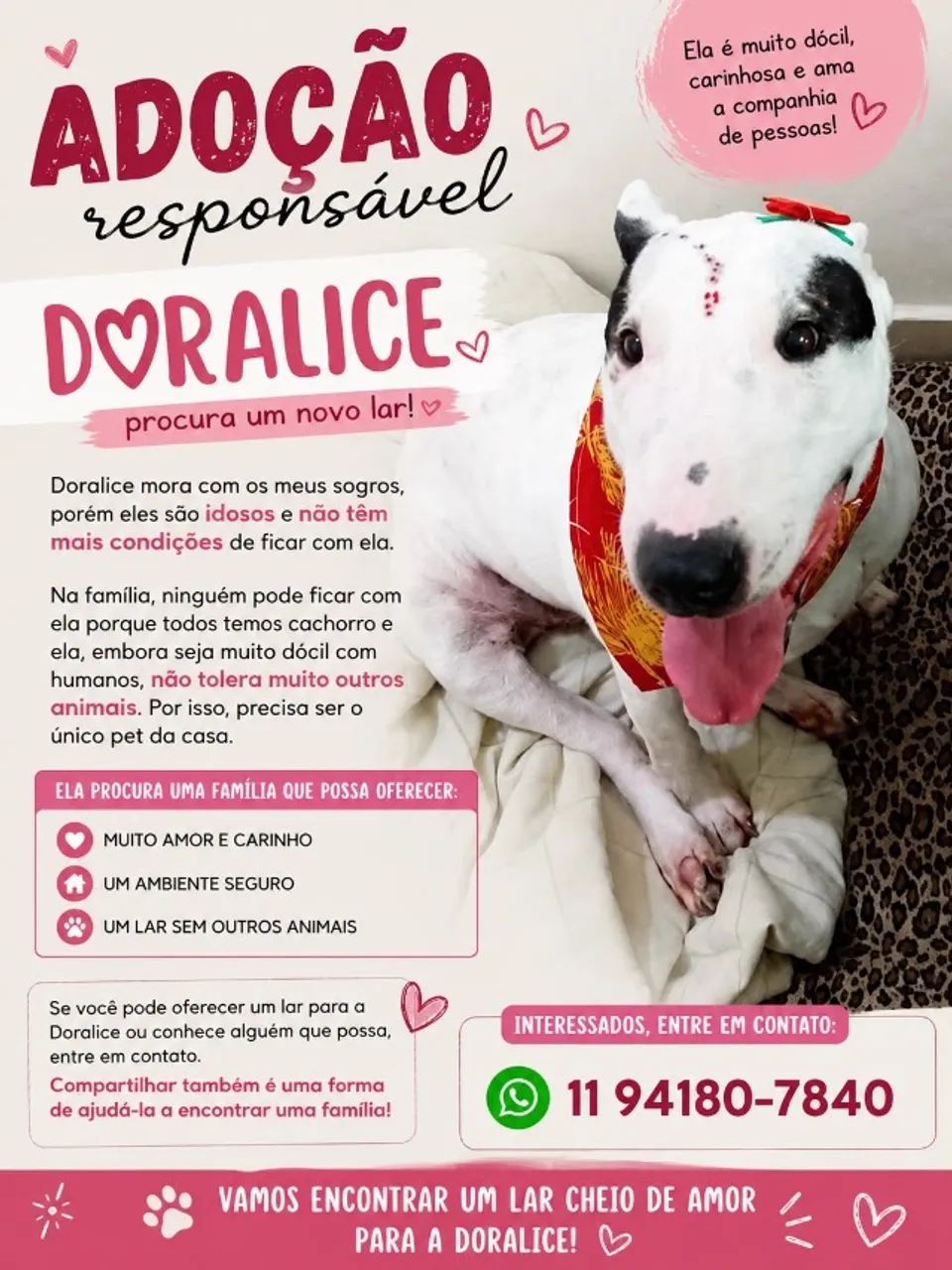 Doação de pet - Foto 2