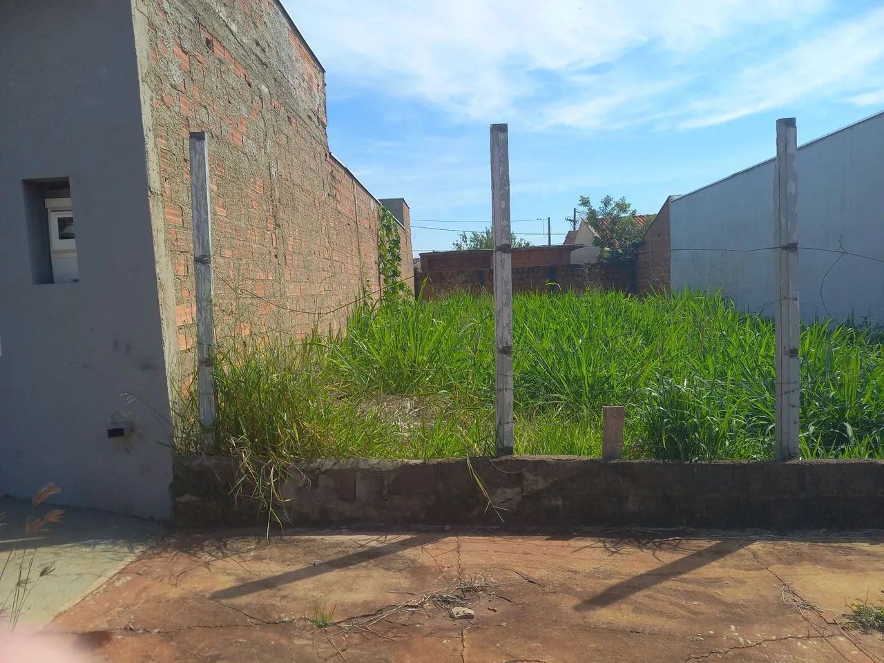 Foto - Ribeirão Preto - Ipiranga