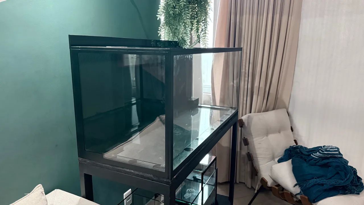 Aquario  - Foto 2