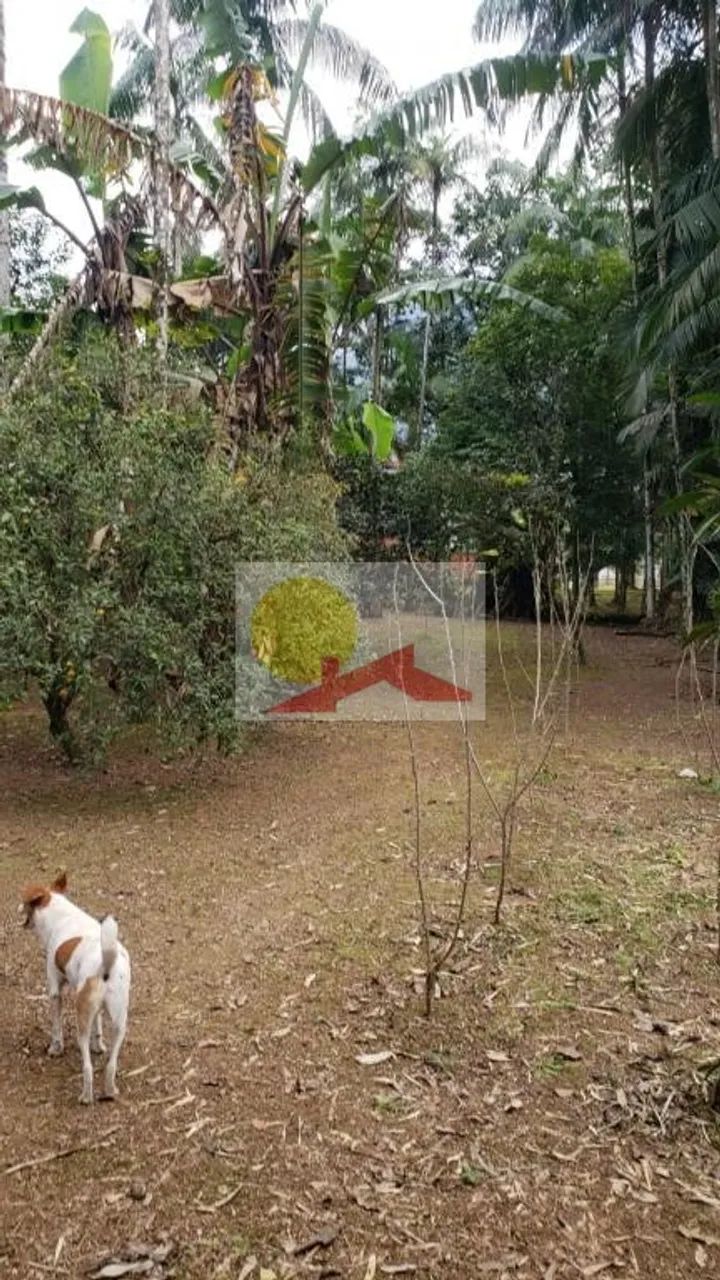 CHÁCARA no CENTRO com 3 quartos para VENDA, 360 m² - Foto 5