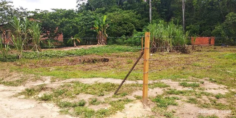 LOTE DE TERRA MEDINDO 10M DE LARGURA POR 30M DE COMPRIMENTO - Foto 5
