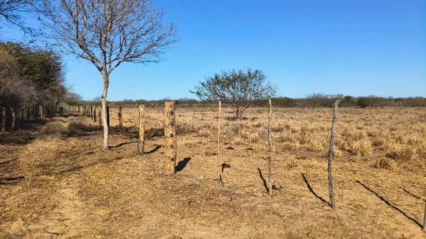 Terra a venda  - Foto 2