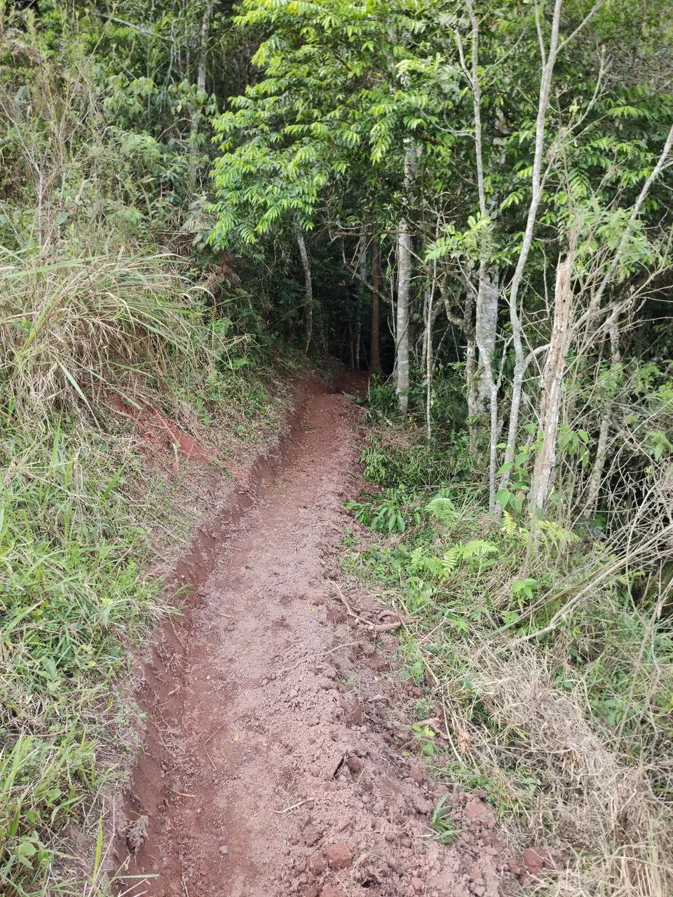 Terreno com mina dágua  - Foto 4
