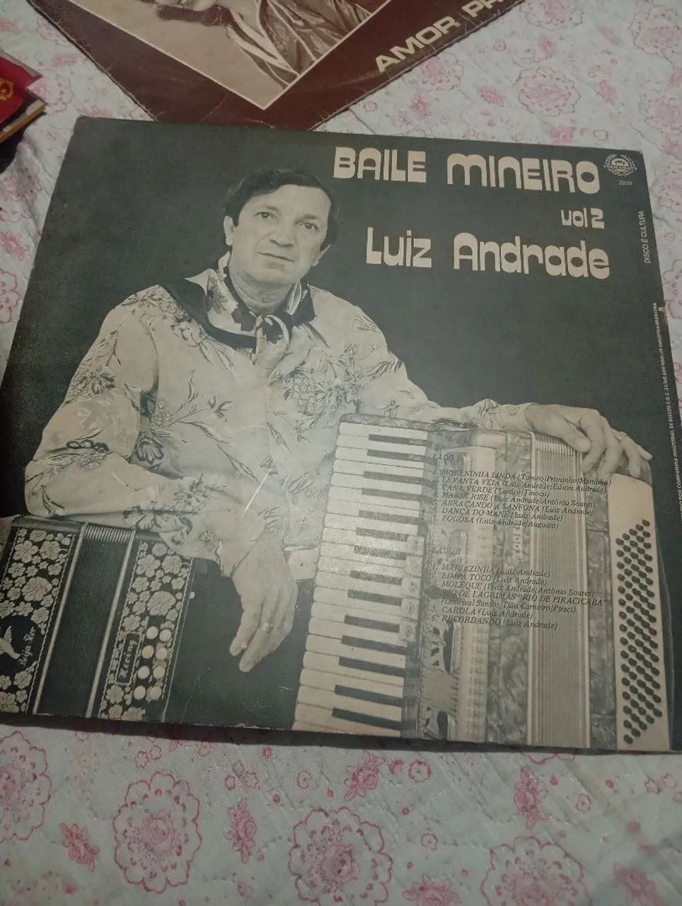  Vários Discos de vinil  - Foto 2