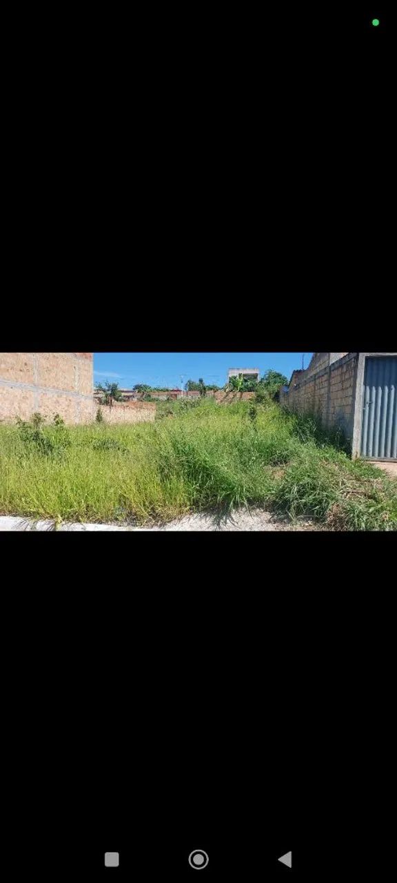Lote 