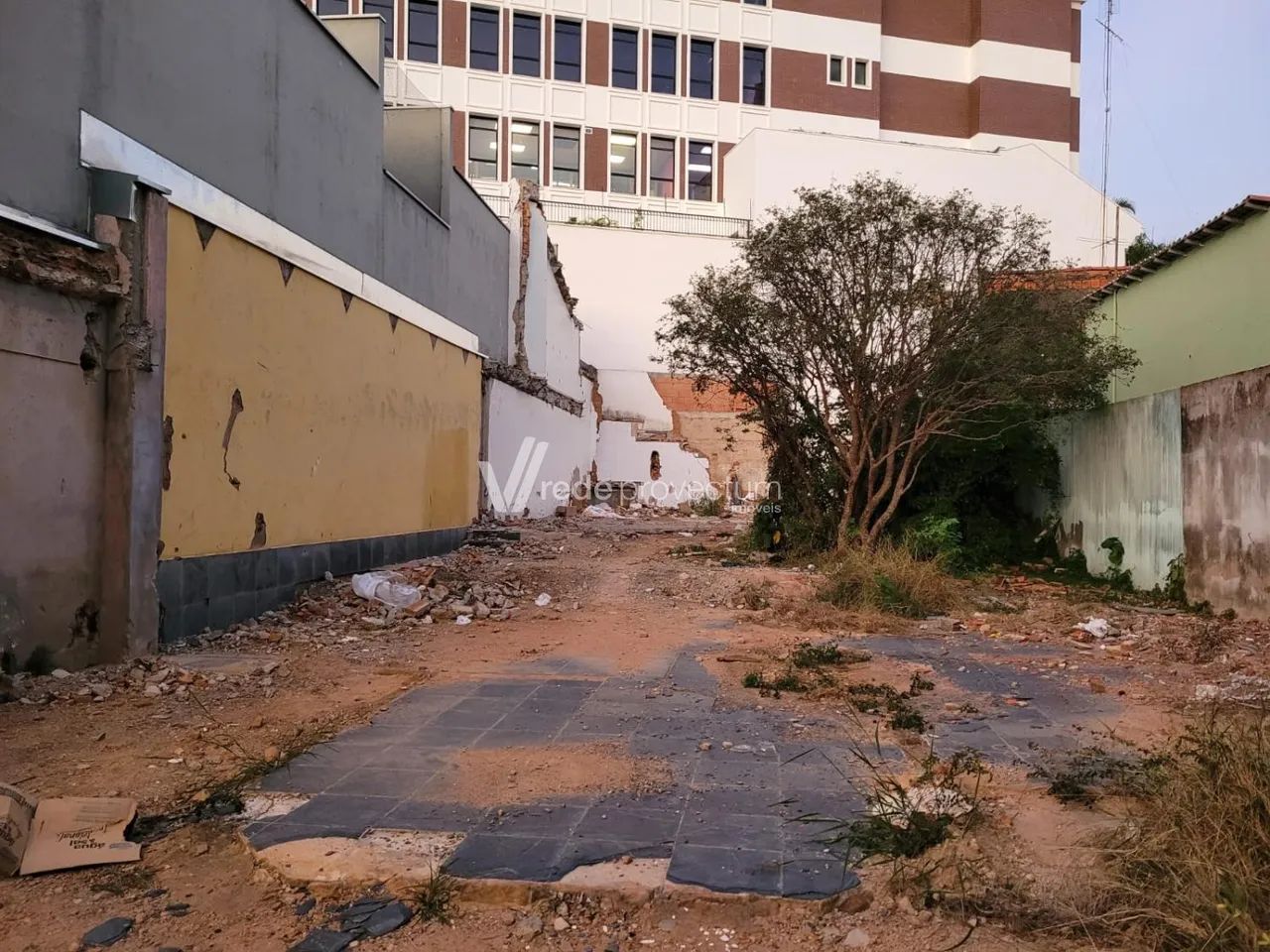 terreno - Cambuí - Campinas - Foto 4
