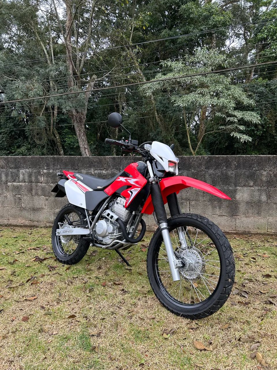 Xr 250 tornado  