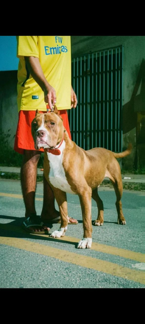 Pit Monster