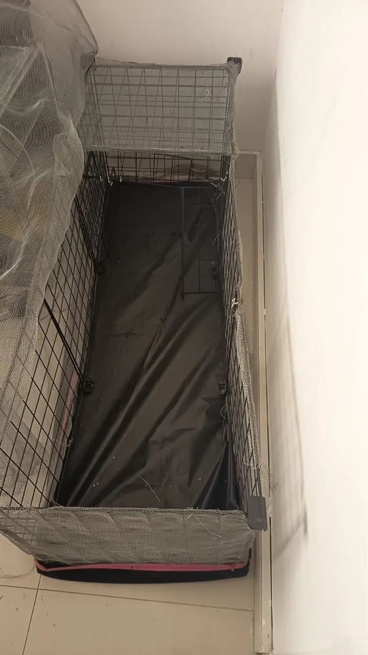 Cercado para roedores