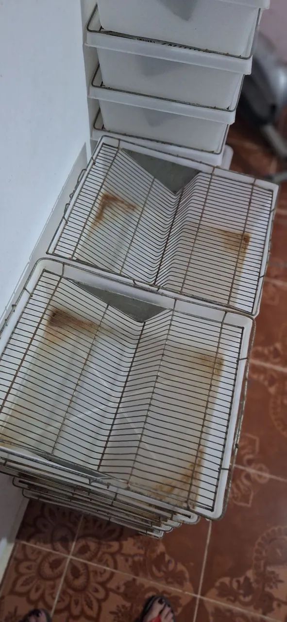 Caixa biotério para hamster e ratos mercol/twister 