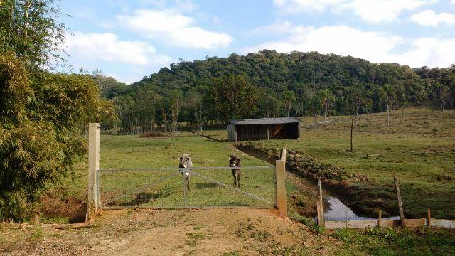 Chácara Linda Em Guaramirim - Foto 5