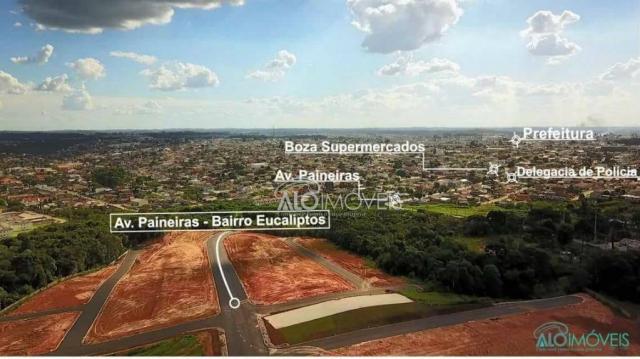 Terreno à venda, 144 m² por r$ 84.270,00 - eucaliptos - fazenda rio grande/pr - Foto 11