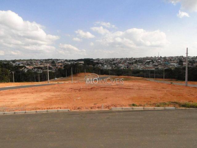 Terreno à venda, 144 m² por r$ 84.270,00 - eucaliptos - fazenda rio grande/pr - Foto 6