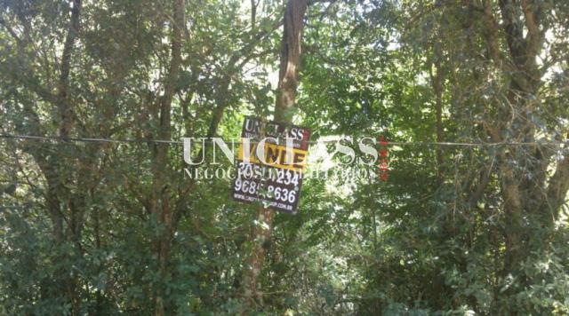Terreno à venda em Arquipélago, Porto alegre cod:TE0156 - Foto 6