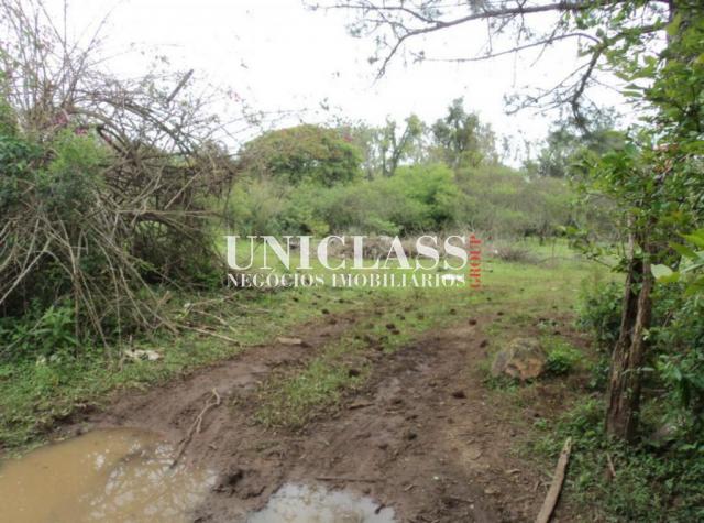 Terreno à venda em Arquipélago, Porto alegre cod:TE0156 - Foto 2