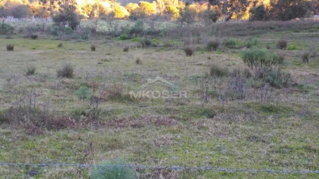 Terreno à venda, , invernador - urubici/sc - Foto 2