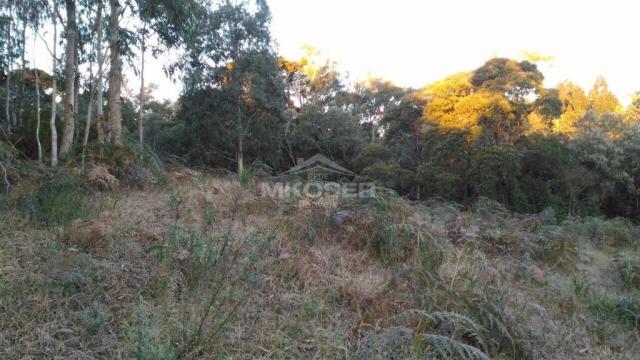 Terreno à venda, , invernador - urubici/sc - Foto 12
