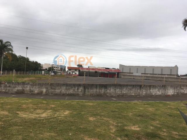 Terreno para alugar em São geraldo, Serra cod:FLEX-AREA0032 - Foto 5
