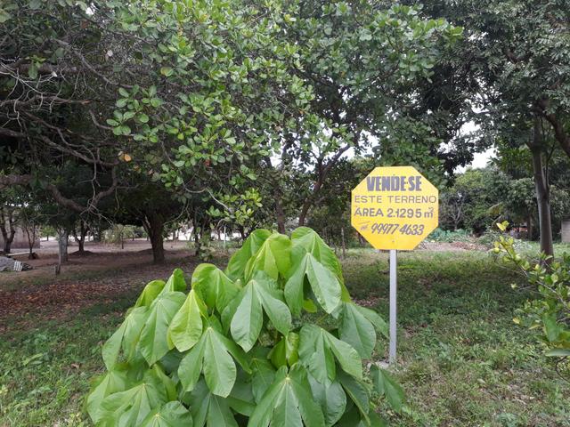 Terreno em Jangada