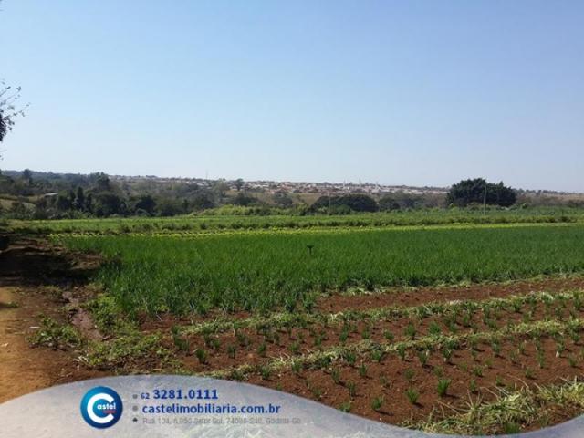 Fazenda 20616 m² por R$ 790.000 em Goiânia - Foto 9