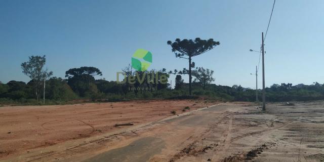 Terreno Eucaliptos - Fazenda Rio Grande-PR - Foto 2