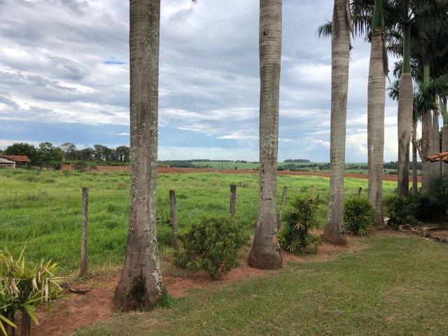 Fazenda 152 alqueires em são jose do rio preto 15.000.000.00 - Foto 9