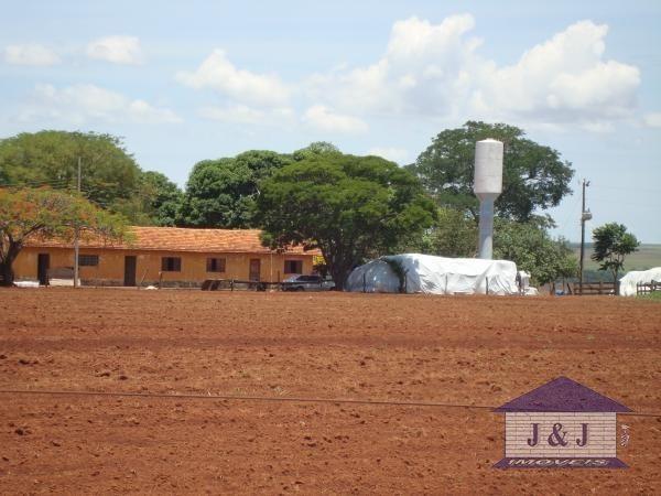 Fazenda município de Edealina - GO! Agende sua visita !!! - Foto 7