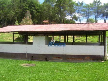 Chácara com 4 dormitórios à venda, 188368 m² por r$ 1.200.000,00 - colônia matos - mandiri - Foto 12